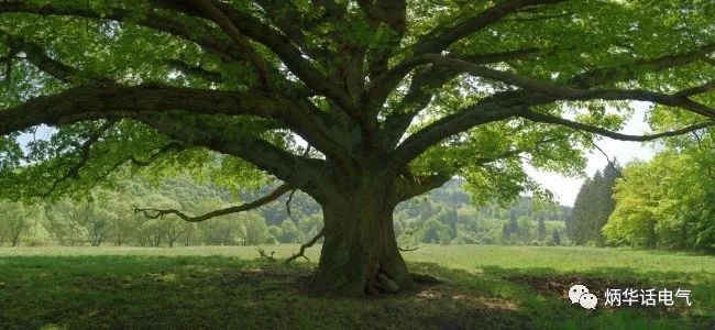 風雨天注意三個“遠離”保安全!_4